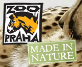 ZOO Praha