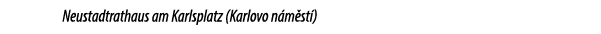 Neustadtrathaus am Karlsplatz (Karlovo n m st ) 