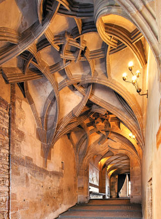 Fotografoval: Libor Svacek, Kaplicka 447, Cesky Krumlov, 381 01 CZ