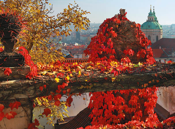 Fotografoval: Libor Svacek, Kaplicka 447, Cesky Krumlov, 381 01 CZ