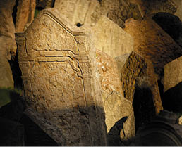 Fotografoval: Libor Svacek, Kaplicka 447, Cesky Krumlov, 381 01 CZ