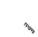 Radlick 