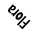 Flora