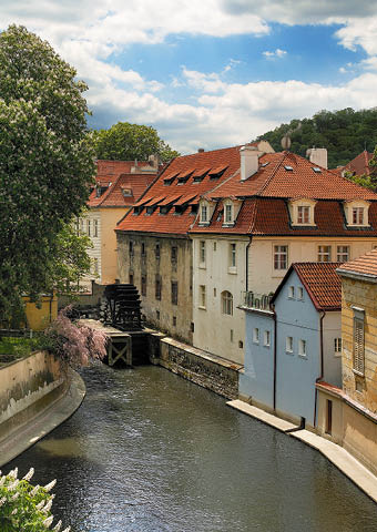 Fotografoval: Libor Svacek, Kaplicka 447, Cesky Krumlov, 381 01 CZ
