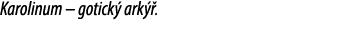 Karolinum – gotick ark  .