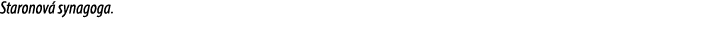 Staronov synagoga.
