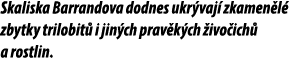Skaliska Barrandova dodnes ukr vaj zkamen l  zbytky trilobit  i jin ch prav k ch  ivo ich  a rostlin. 
