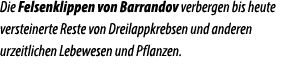 Die Felsenklippen von Barrandov verbergen bis heute versteinerte Reste von Dreilappkrebsen und anderen urzeitlichen L...