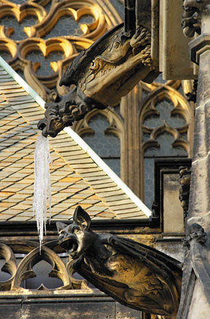 Fotografoval: Libor Svacek, Kaplicka 447, Cesky Krumlov, 381 01 CZ