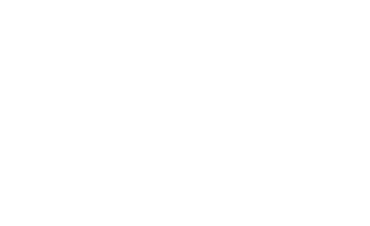platn sk  —