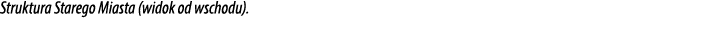 Struktura Starego Miasta (widok od wschodu).