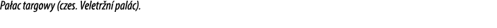 Pa ac targowy (czes. Veletr n pal c).