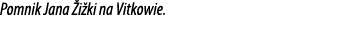 Pomnik Jana i ki na Vitkowie.