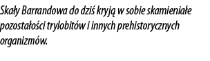 Ska y Barrandowa do dzi kryj  w sobie skamienia e pozosta o ci trylobit w i innych prehistorycznych organizm w.